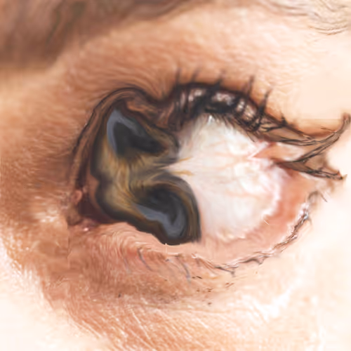 22261332165349441295163190501737457577187483114464994700747766215893606989825