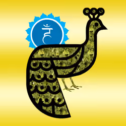 Throat Chakra Peacock