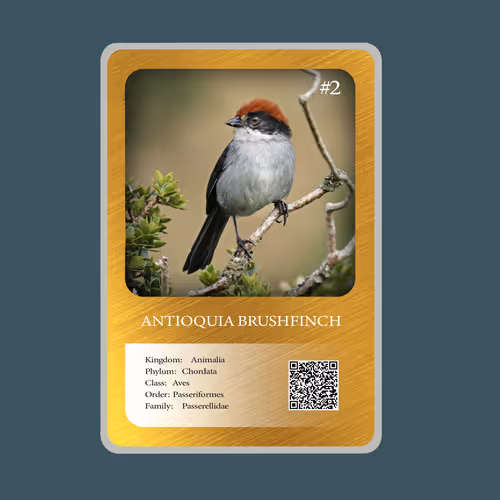 20886832718642689244376634643648949640883698673827989316943493366178474098689