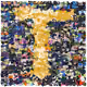 72313549958186400623516579222099753259770590924826109399862158072179381501953