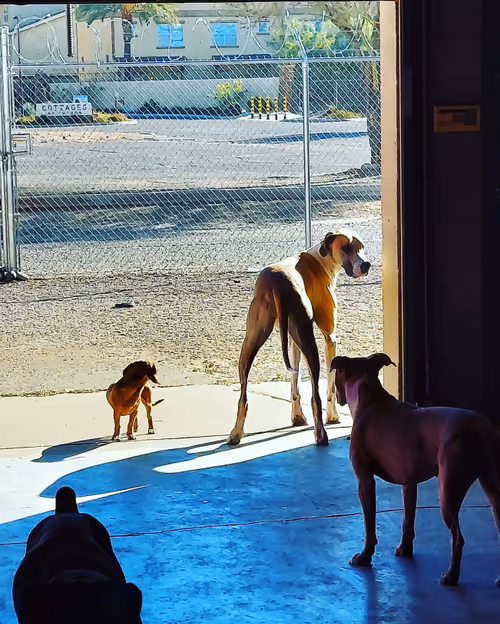 Item #39540864577667399256192616078450246771171412109449139938525305549545866788865 Media