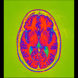 64162533542198579898252916190583583845604629893829087458582976515450645512193