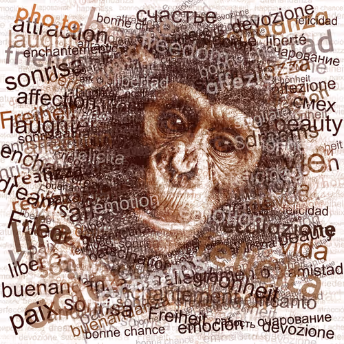 Item #38775667772334495200431258381610230883296000587885911426312875884675726311425 Media