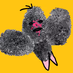 parrot