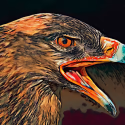 Hungry raptor