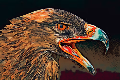 Item #1662425782654640170832190713280963699592465291637548006490664961902284636161 Media