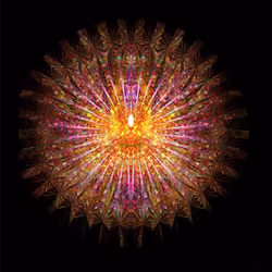 Radial Rose Circle