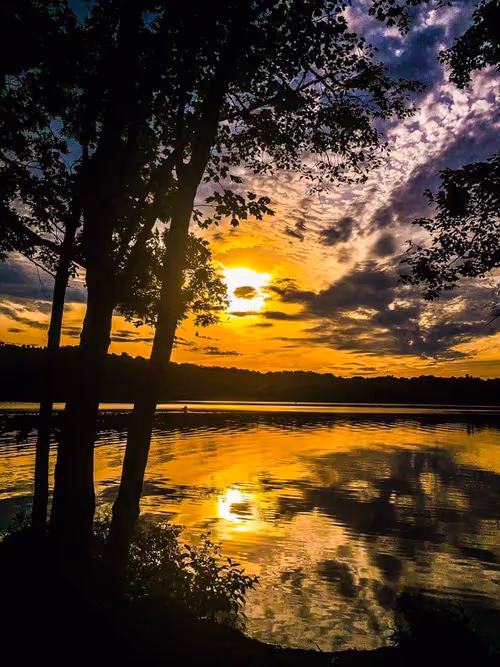 Item #11571037003699877982661644122452823698985804439104236882334296302338430730241 Media