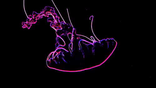 Item #44700177556079130579027571864789921161109844202338692374214745861266755026945 Media