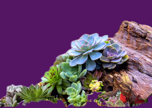 Item #8607677958191038044004830040679912821884152676576415147527512807861995438081 Media