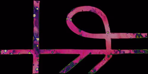 Item #25134024236616184979521667367921431367203659848766423059433089111854118077416 Media