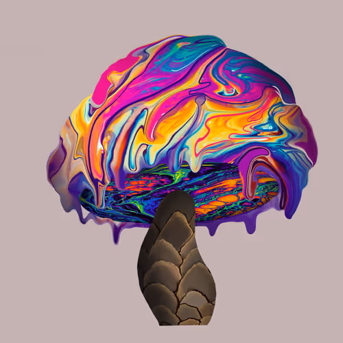 Item #46034849265832991985054005845495595569977159826723230396281255749284492476417 Media