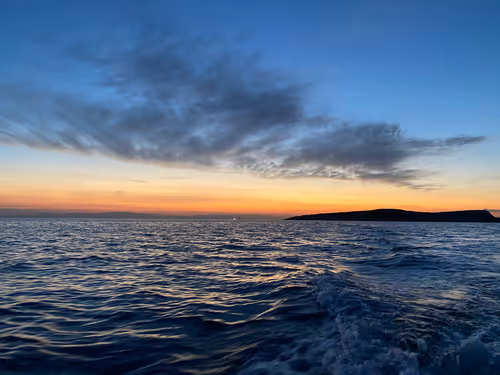 Item #68021680421370609917971695803708180506045537231368972803899735129605906890753 Media