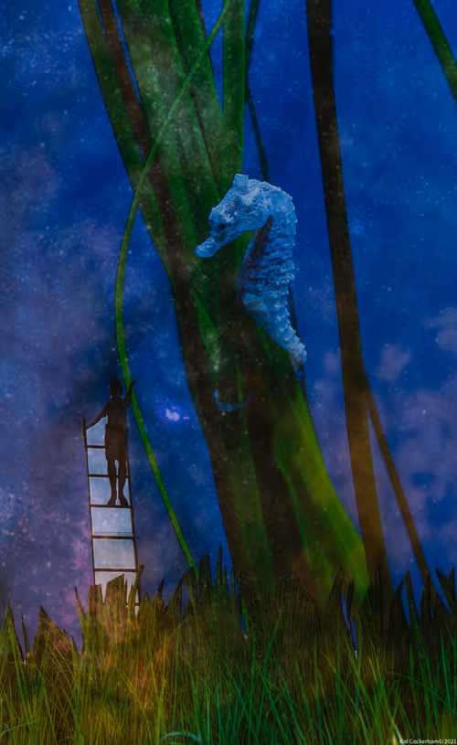 Item #49174666910166564779922856925235532419926271386136280699772621382977033601025 Media