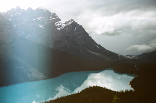 Item #47263427192164652085491385206447928327425179185590361106857945444594516754433 Media