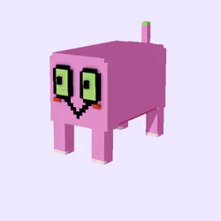 cat#2