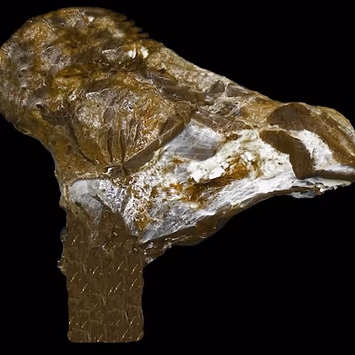 18063966590187803564983313972252836895288362682890717819958697114214999261185