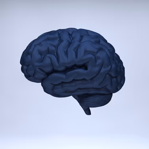 Item #77412820926303725204956055566925211190020908428863033075197849073085979820033 Media