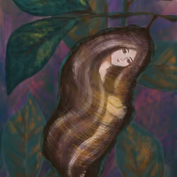 Cocoon