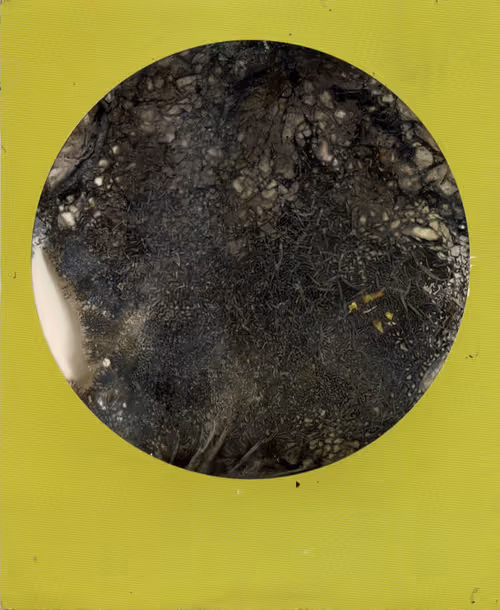 Item #70380901503112594242682332060958129293814408610490671047120815288473740115969 Media