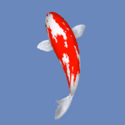 85890538515849146191794191908996501016024634704301377485849139247994623754241