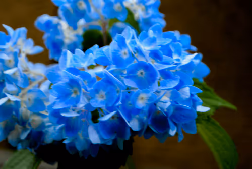 Item #40090172695085413256965535555586358742660933280315103792741764920749672366081 Media