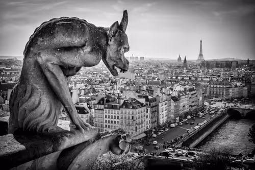 Item #100168184630423933887192179951502785205921994130274916505452807418853667635201 Media