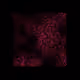 12032733712256437664215437925069129638151898554142308319368358977412775542785