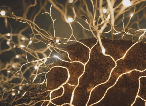 Item #98695163844141812296559601516468632585703412525772017875852753158208298680321 Media