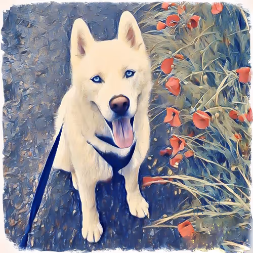 Item #17635803375648012338610213380030160191715370757553255260744606476679461732353 Media