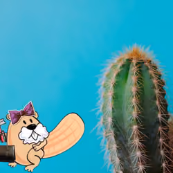 Prickly Beaver