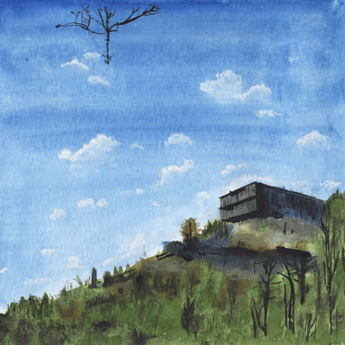 Reclaimed Landscapes