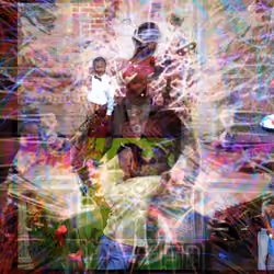 FOLLOW BACK 