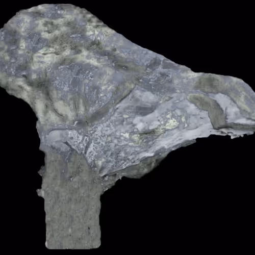 18063966590187803564983313972252836895288362682890717819958697151598394605569