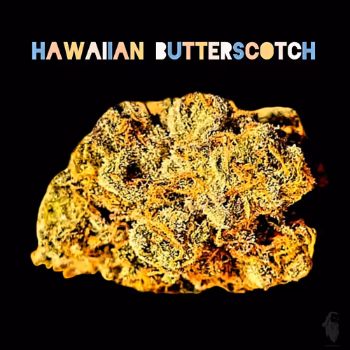 Item #87689570283297516471900235800511228078692535605346005540316604145522312216577 Media