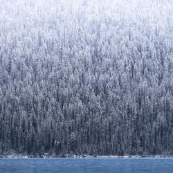 Sound of Silence #23