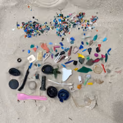 Sequestered Beach Plastics #1