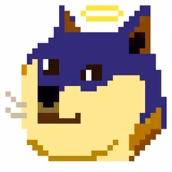 God is in the Doge #23