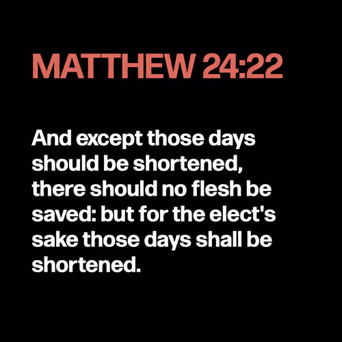 Item #22053356606985035317572807567829034573317121579682343289603647128524415827969 Media