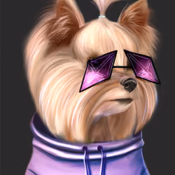 Fashion dog