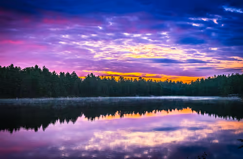 Item #78614967916850878758896281278088562819031429561597845143063368099264758546433 Media