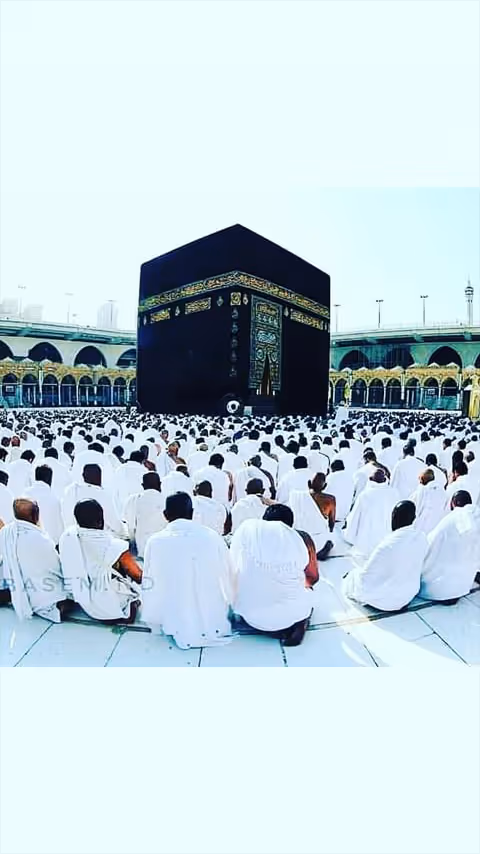 Item #38730908129425567474602434602856490698803630373107677176106003790672194174977 Media