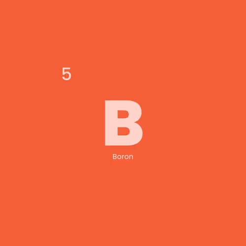 Item #12332245684065198764694527978536122317407596672492401615866658074763940855809 Media