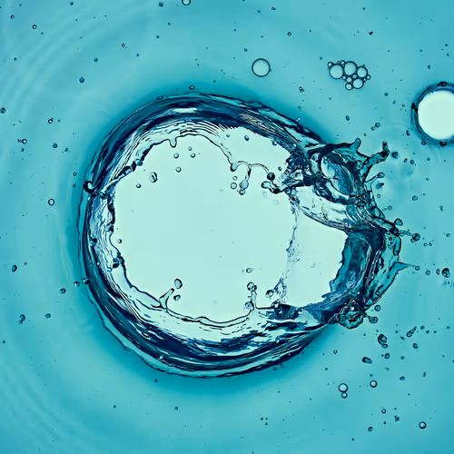 46489901761508154690977052556102681350934379687164571149816291735985956323329