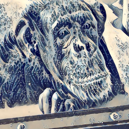 Monkey Windows