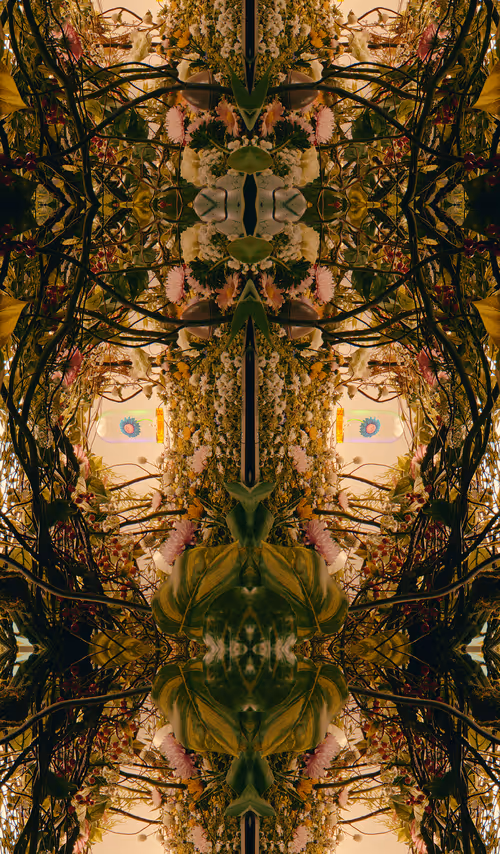 Item #54411499690937640101772425138653578544162397958311670010148906841189400969217 Media