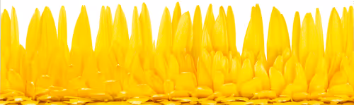 Item #114078511333310576498177918881728262953412999015096493674529471664483028959233 Media