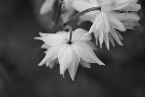 Item #29414833243552091468974729560361067856295406084022645702668679803313986732033 Media