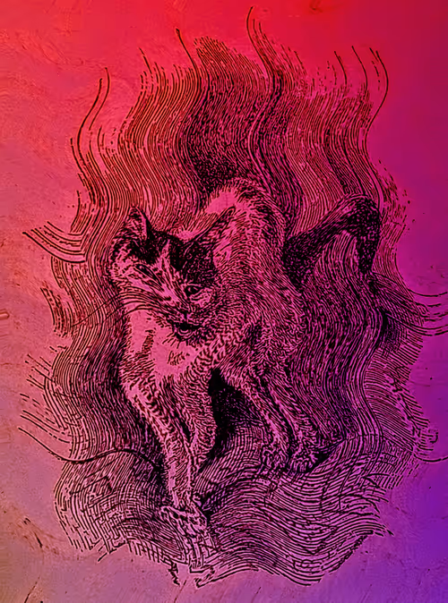 Item #35247308013863639916483757756408588227786114589757564733366544669396910997534 Media