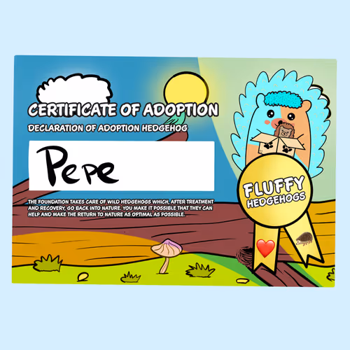 Fluffy Adoptions
